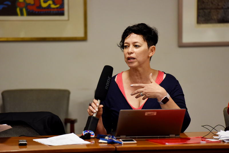 This was the second sitting of the IRTC Steering Committee, which is setting up the mechanisms through which the IRTC will operate when the commission kicks off. Prof Loretta Feris, DVC for Transformation and Student Affairs and a member of the IRTC Steering Committee, addresses the meeting on 23 February 2017.