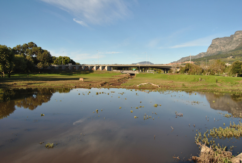 The Valkenburg wetland at the lower reaches of the Liesbeek River.