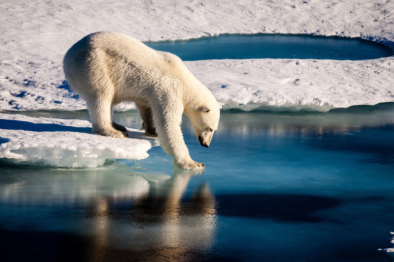 Scientists, business leaders and policymakers will gather at the Adaptation Futures 2018 conference in Cape Town to learn, share knowledge and build innovative solutions to common climate-change-induced problems. 