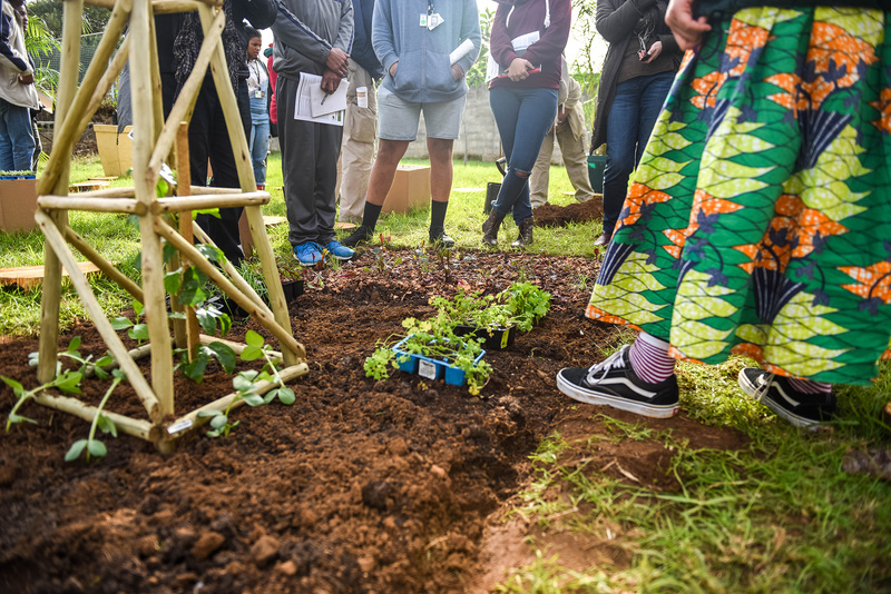 We have lost our knowledge of indigenous foods, participants heard at the agroecology session hosted at the inaugural Decolonial Winter School.