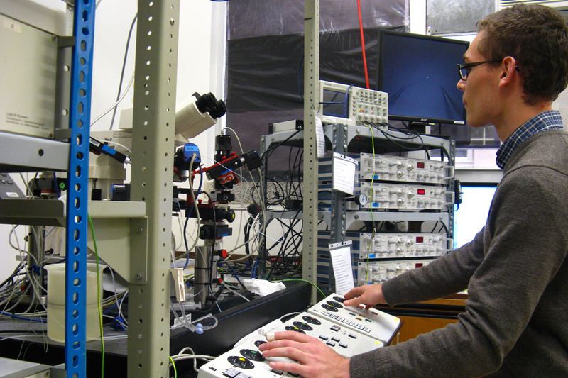 Lead author Richard Burman, former master’s student of Dr Joseph Raimondo, hard at work in the laboratory.