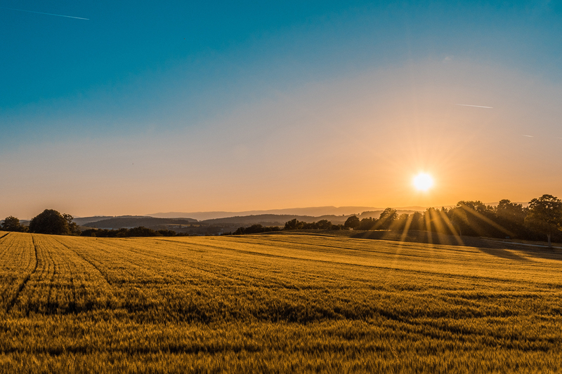 Climate change will have a negative effect on the agriculture sector and food supply.