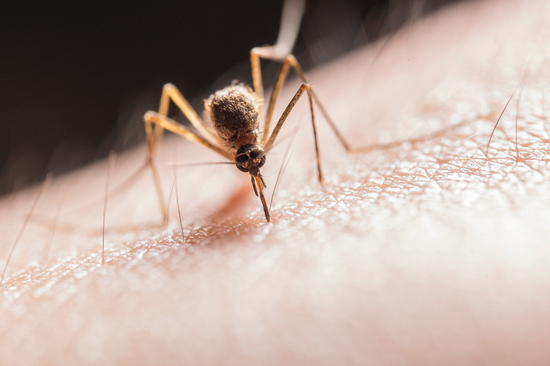 The collaboration between UCT and Medicines for Malaria aims to discover and develop new medicines to treat the symptoms of infection caused by the two main species of malaria parasite.