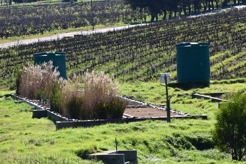 Large scale experimental systems that filter and clean contaminated water from an informal settlement near Franschhoek.