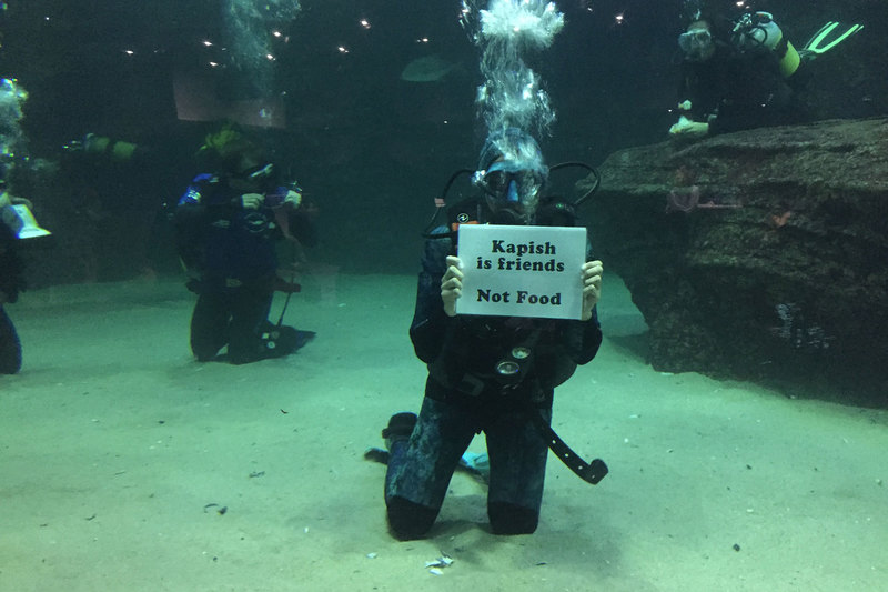 More than 100 student divers participated in the annual diving marathon – Diver24 – at the Two Oceans Aquarium. 