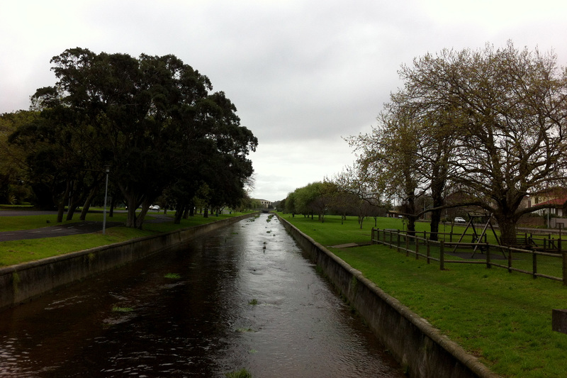 We should be more efficiently using the resources that are readily available to us – like the rainwater that flows out to sea along the Liesbeek River.