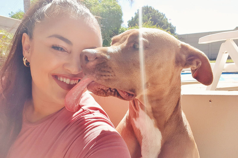 A smooch from Myrtle to me, the mother of a pit bull.