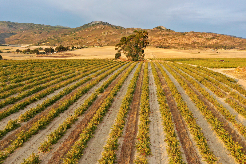 The topic of land administration in SA takes centre stage in a series of videos produced by academics at UCT and UWC.  