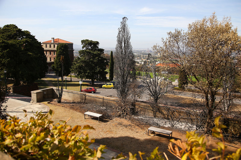 Emer Prof William Bond says a lot more research is needed to determine which trees produce embers that become airborne. <strong>Photo</strong> Je&rsquo;nine May.