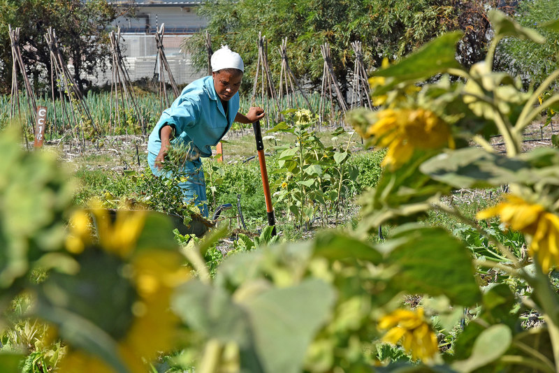 The many ways in which rural residents use and are connected to their land need to be weighed up, said the researchers. <b>Photo</b> Lerato Maduna.