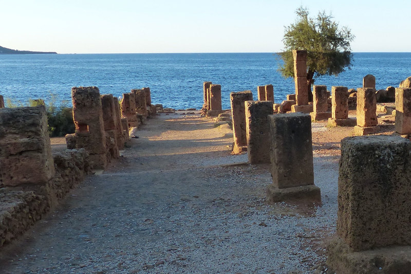 Cardo Maximus, part of World Heritage Site Tipasa in Algeria, is projected to be at risk of being affected by rising sea levels. 