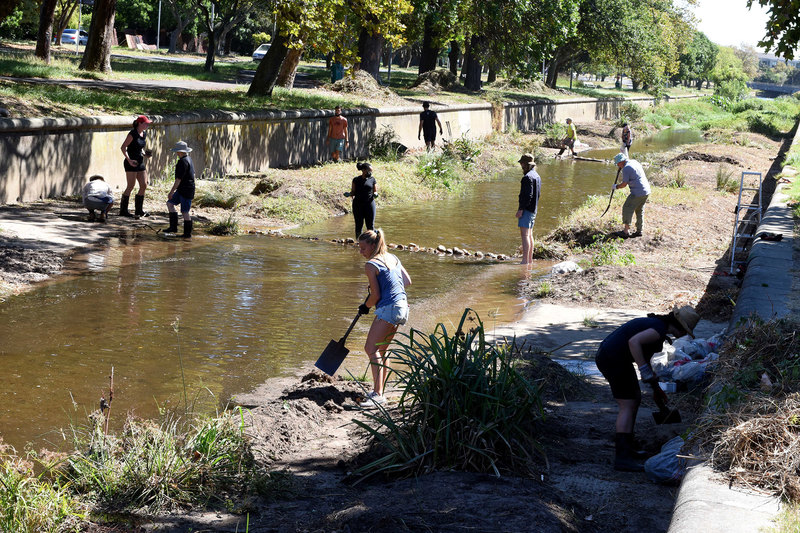 UCT staff and students joined Friends of the Liesbeek and Rosebank residents for a massive river clean-up. 
