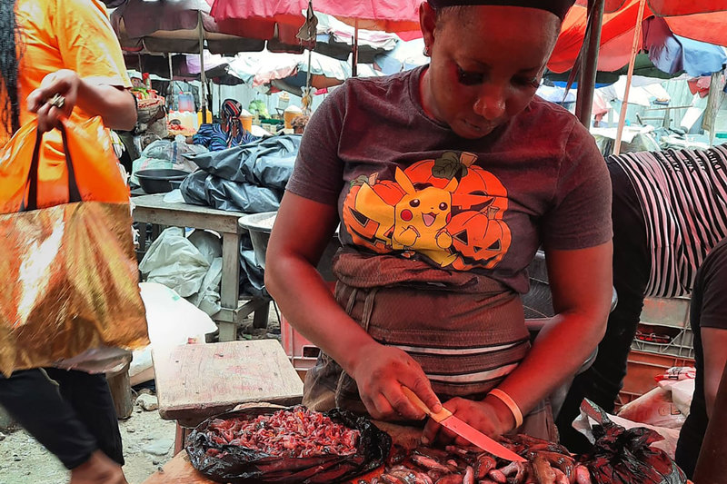 “Bostrychus africanus” is a staple in West Africa.