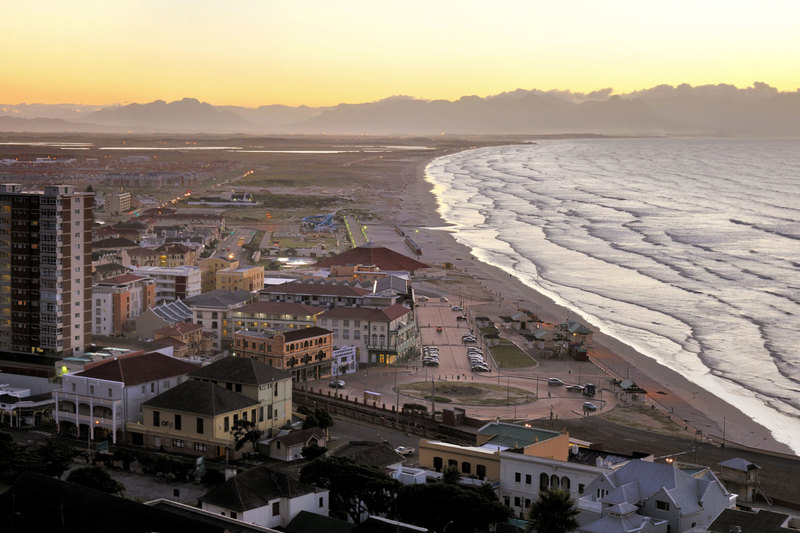 Research conducted during lockdown in 2020 indicates that a large number of birds descended on Muizenberg beach to enjoy this natural habitat without any human disturbances. 