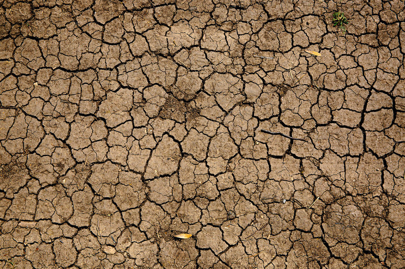 Assoc Prof Gina Ziervogel says emerging from a drought disaster is a collective effort and requires buy-in from government, academia and all sectors of society. 