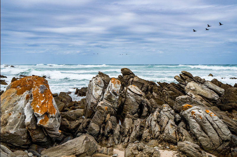 Two PhD students from UCT were part of a team of marine scientists who embarked on an offshore expedition to develop the capacity of young southern African scientists and to collect data in outer shelf and deep-sea habitats. <b>Photo </b><a href="https://www.gettyimages.com/detail/photo/birds-flying-over-stormy-sea-and-coloured-rocks-at-royalty-free-image/664402138?phrase=agulhas&amp;adppopup=true" target="_blank">Getty Images</a>.