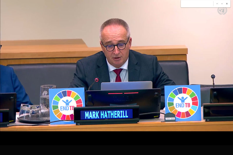Prof Mark Hatherill at a panel discussion during a UN High-level Meeting on TB.