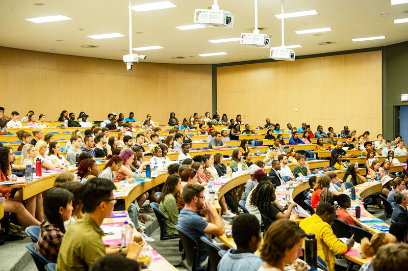 UCT has been ranked among the top 100 universities in six subject areas by Global Ranking of Academic Subjects 2023, recently released by ShanghaiRankings.