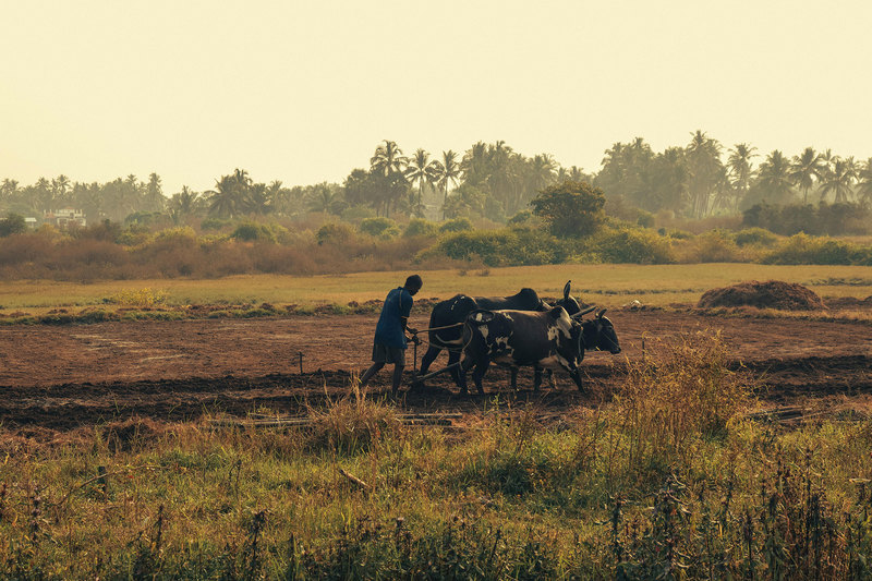 Research led by Nicholas Simpson, along with a team at UCT’s ACDI, emphasises the urgent need for a comprehensive study on how climate change impacts mobility.