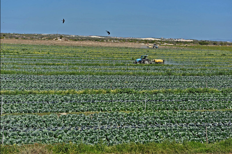 The sixth International Society for Plant Molecular Farming conference is coming to Cape Town in May.