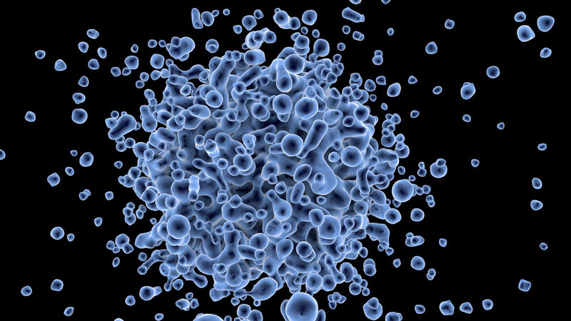 AMR poses a giant threat to modern medicine globally.