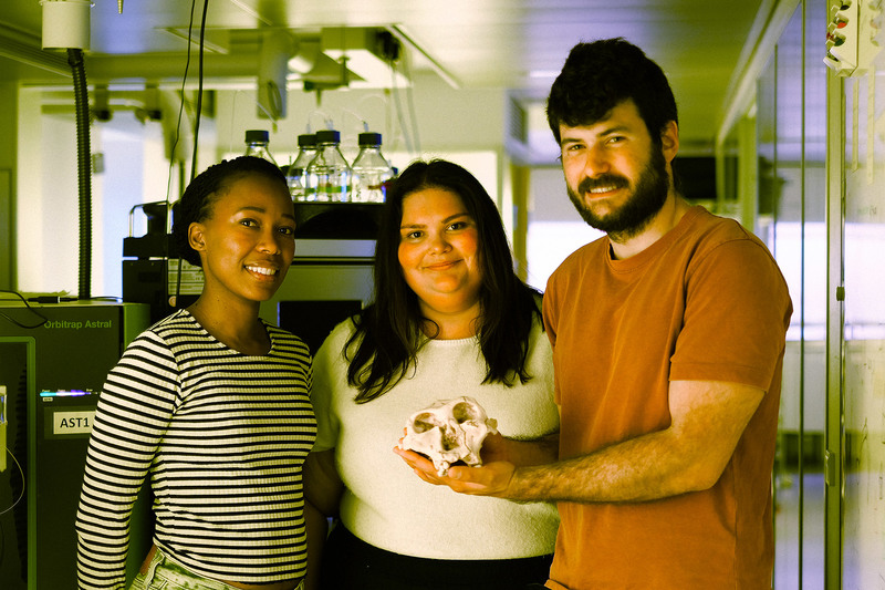 The work of Dr Palesa Madupe, Dr Claire Koeng and Dr Ioannis Patramanis uncovered biological sex and unexpected genetic diversity in Paranthropus robustus.
