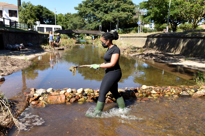 UCT staff and students joined Friends of the Liesbeek and  Rosebank residents for a massive Liesbeek River clean-up.