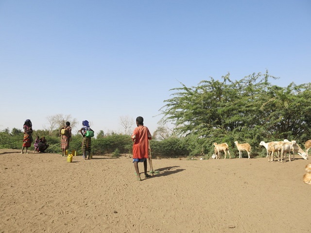 In semi-arid areas, climate information that is tailored to farmers’ needs can reduce their vulnerability to climate change. Lucia Scodanibbio