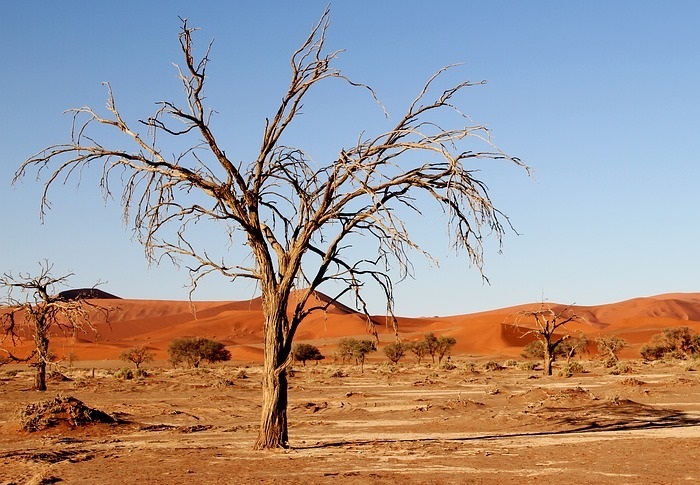 In Namibia, people are seeking ways to reduce vulnerability to problems like drought.