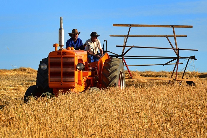 Drought in South Africa has led to coordinated joint planning and partnerships to combat the problem.