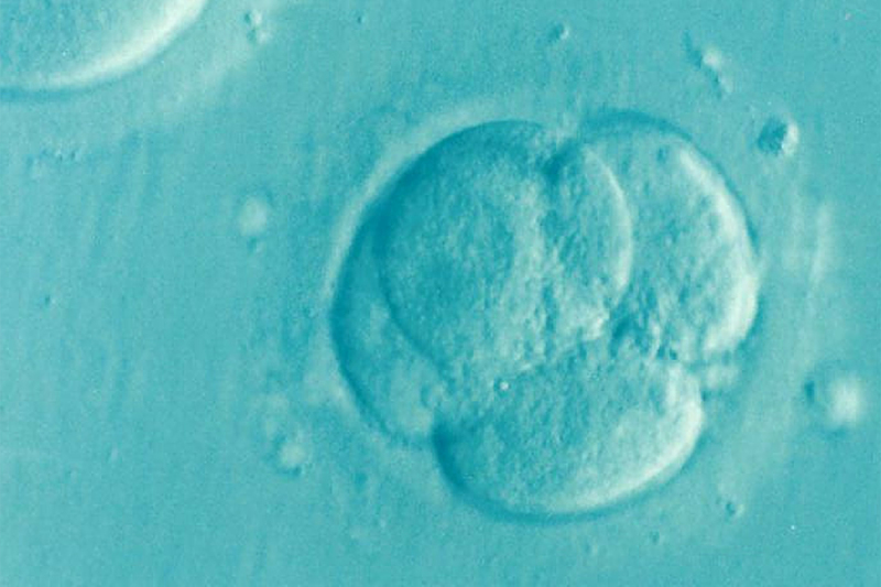 Editing the genes of an embryo, which can be done using CRISPR, changes a person before they’re born and changes their offspring. 