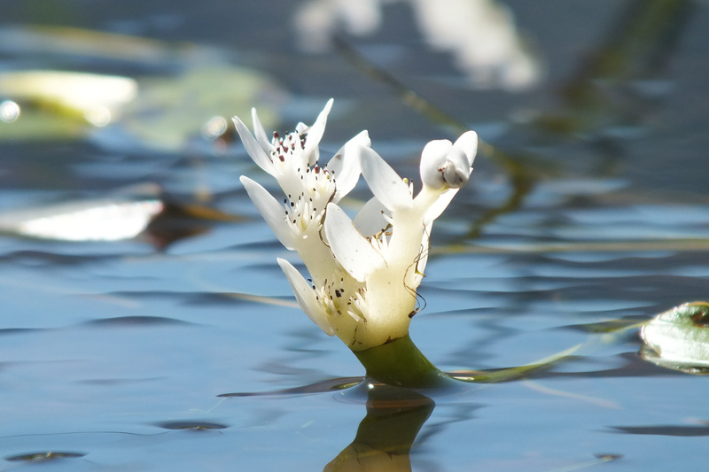 Cape Town's once-in-a-century drought has given its residents a new appreciation of the importance of water.