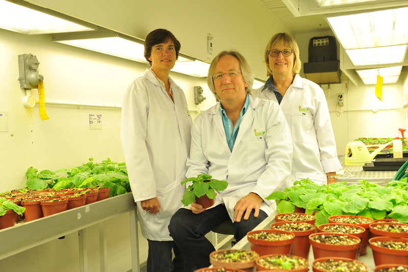 Dr Ann Meyers, Professor Edward Rybicki and Dr Inga Hitzeroth in the laboratory when so many of their inventions are born.