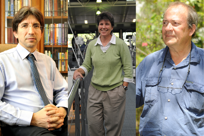 Professor Dan Stein, Professor Estelle (Vicki) Lambert and Emeritus Professor William Bond (from left) have been included in the Highly Cited Researchers (HCR) list for 2020.