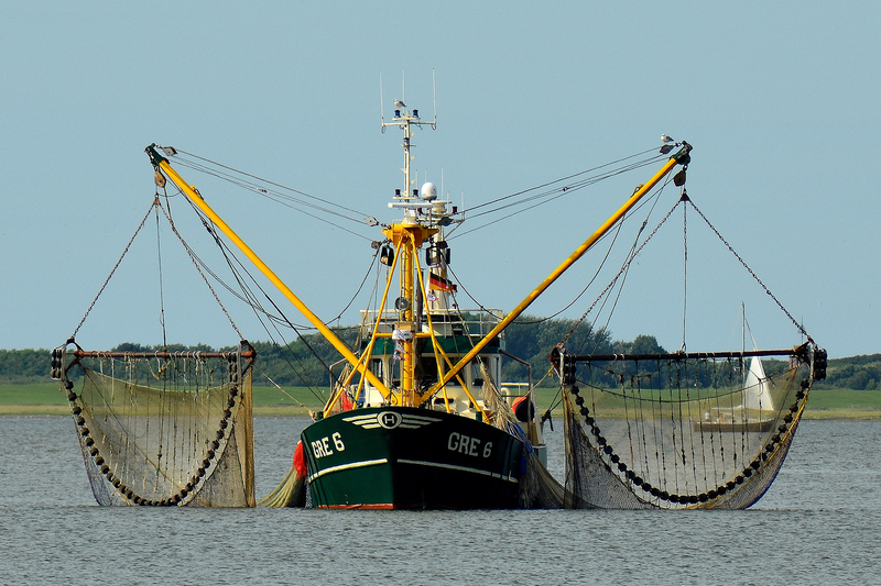 Where fisheries are well managed, fish populations can recover. That is according to new research co-authored by UCT applied mathematician Dr Carryn de Moor.