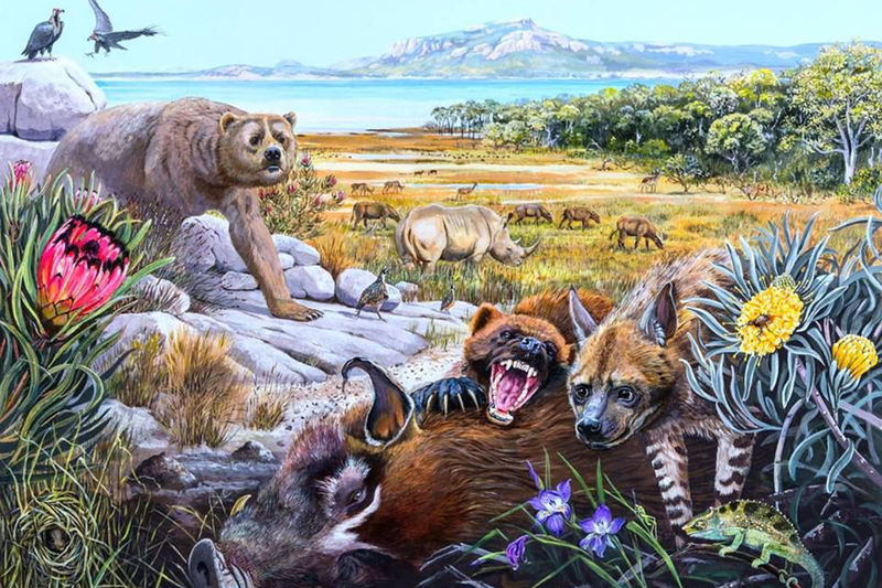 What South Africa’s West Coast might have looked like 5 million years ago. In the foreground, a giant wolverine feeds on a pig while chasing away a primitive hyaena. <b>Image</b> Maggie Newman, Geological Society of South Africa and the University of the Witwatersrand.
