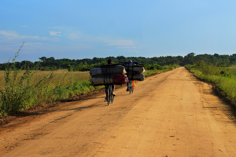 UCT researchers are exploring whether the looming drought and food crisis in Mozambique, Zimbabwe and southern Zambia could be ascribed – at least in part – to climate change.