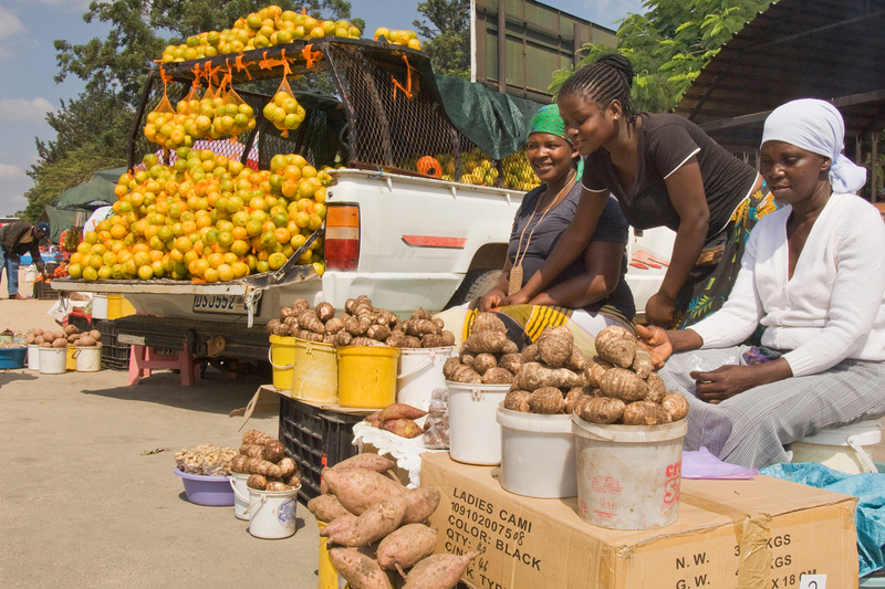 At the microeconomic level, the pandemic is likely to affect African households in a number of ways, including drastic loss of income for informal workers.