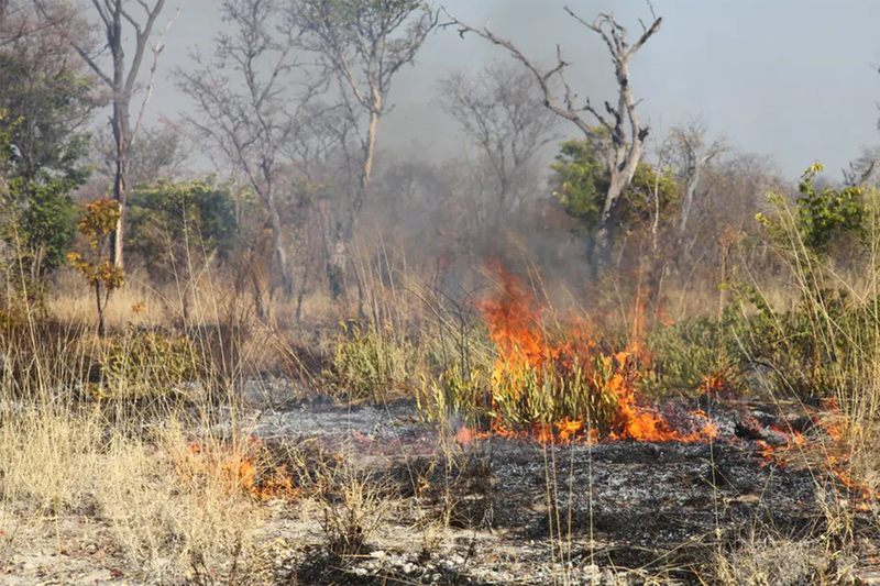 A late season fire in Bwabwata National park. <b>Photo</b> Conor Eastment.