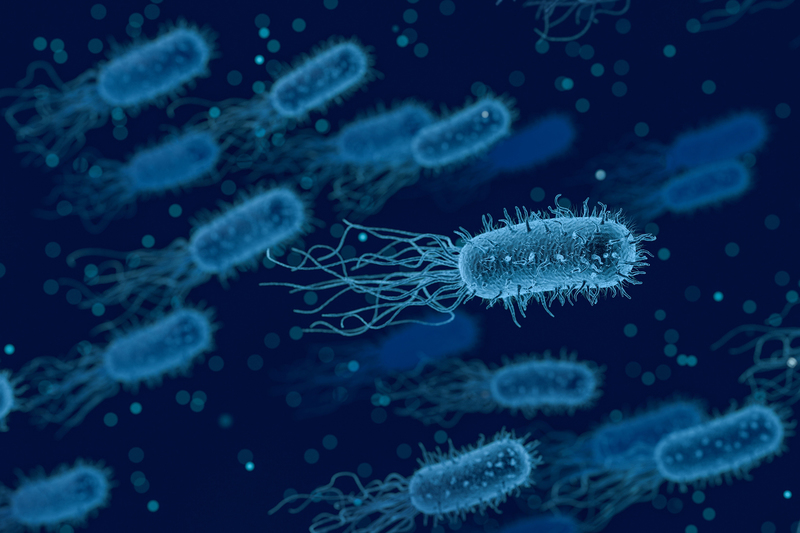 <b>Image</b> Arek Socha, <a href="https://pixabay.com/illustrations/bacteria-medical-biology-health-3662695" target="_blank">Pixabay</a>.