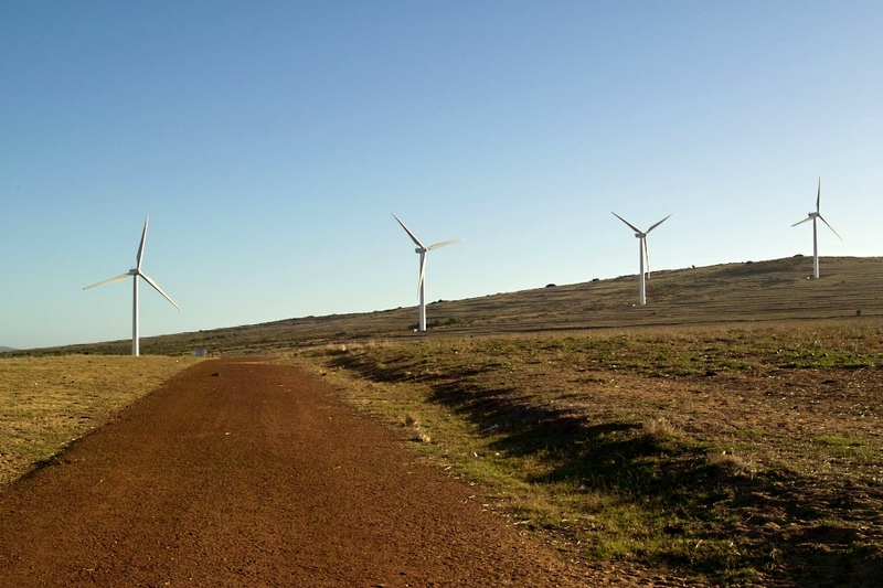 Wind turbines in Darling, South Africa