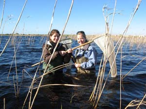 Frances Morling & Catherine Brown