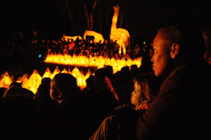 audience watching