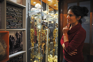 Archaeology exhibition