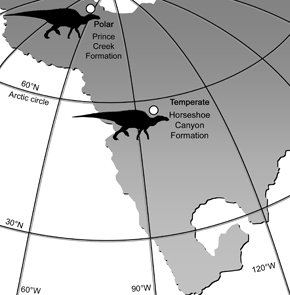 The bones of duck-billed dinosaurs