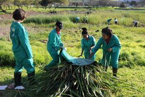 Liesbeek river clean up