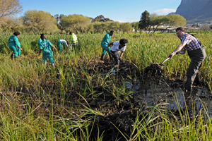 Liesbeek river clean up