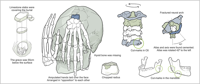 Schematic representation of Burial 26 at Lapa do Santo