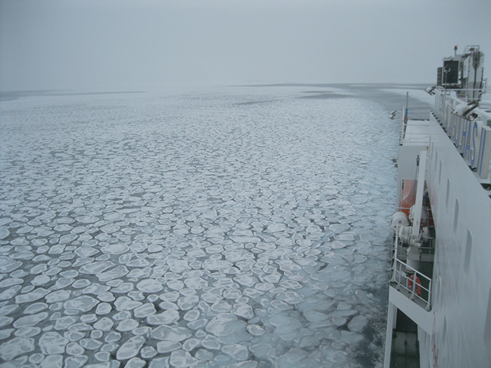 SA Agulhas II