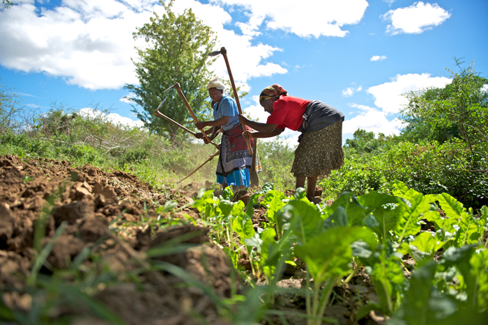 Women work in a field in Kenya as part of a project aimed at small farmers. Climate change is one of the biggest challenges facing East Africa. Image courtesy of Annie Bungeroth/CAFOD via Flickr Creative Commons.